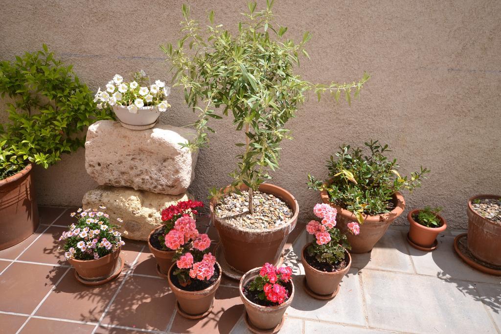 La Casa De Las Aldeas Daroca Dış mekan fotoğraf